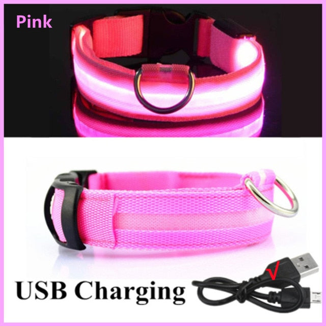 LED Glowing Adjustable Dog Collar